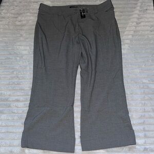 Lane Bryant NWT size 22P dress trouser pant